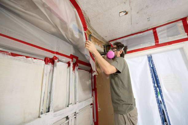 Mold Removal for HVAC Installations